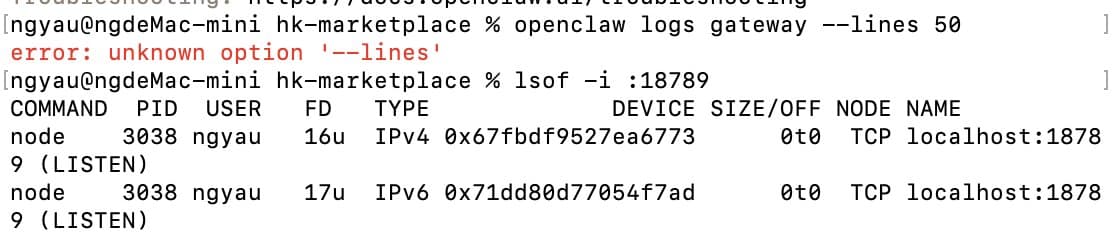 lsof 顯示 localhost bind 詳情