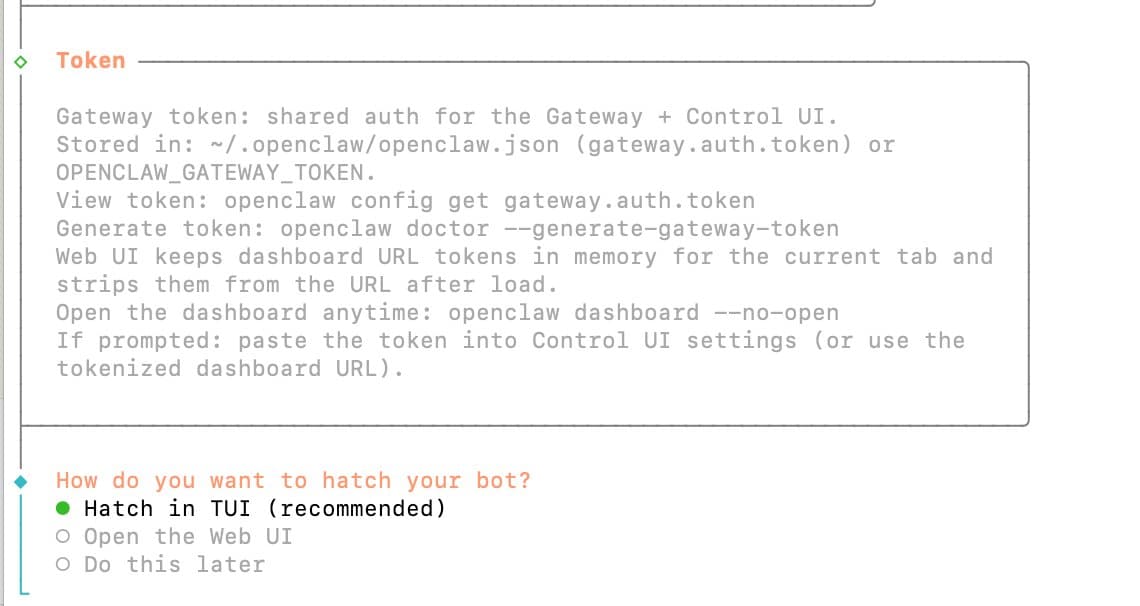 Token info + Hatch 選擇畫面